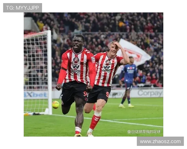 拜仁密切关注桑德兰前锋布罗比